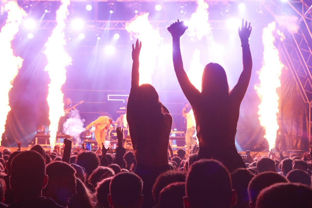 Crowd and fire at a night show